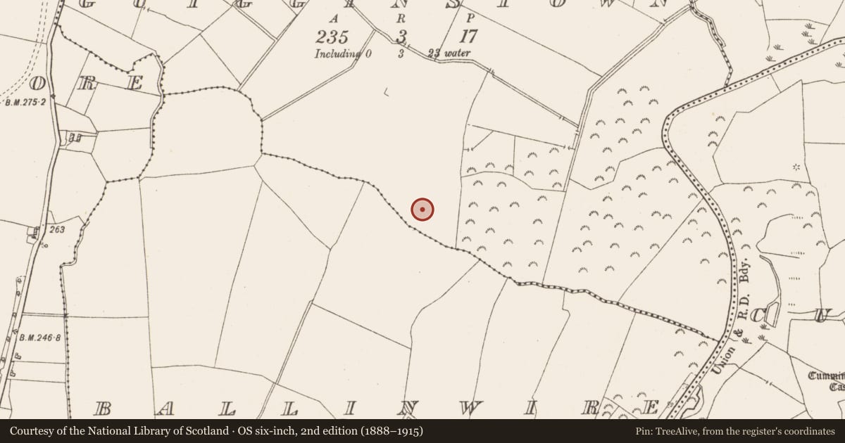 Ordnance Survey six-inch map, 2nd edition (1888–1915) covering the location of Ringfort - unclassified, Guigginstown, County Westmeath, with a pin at the register's coordinates