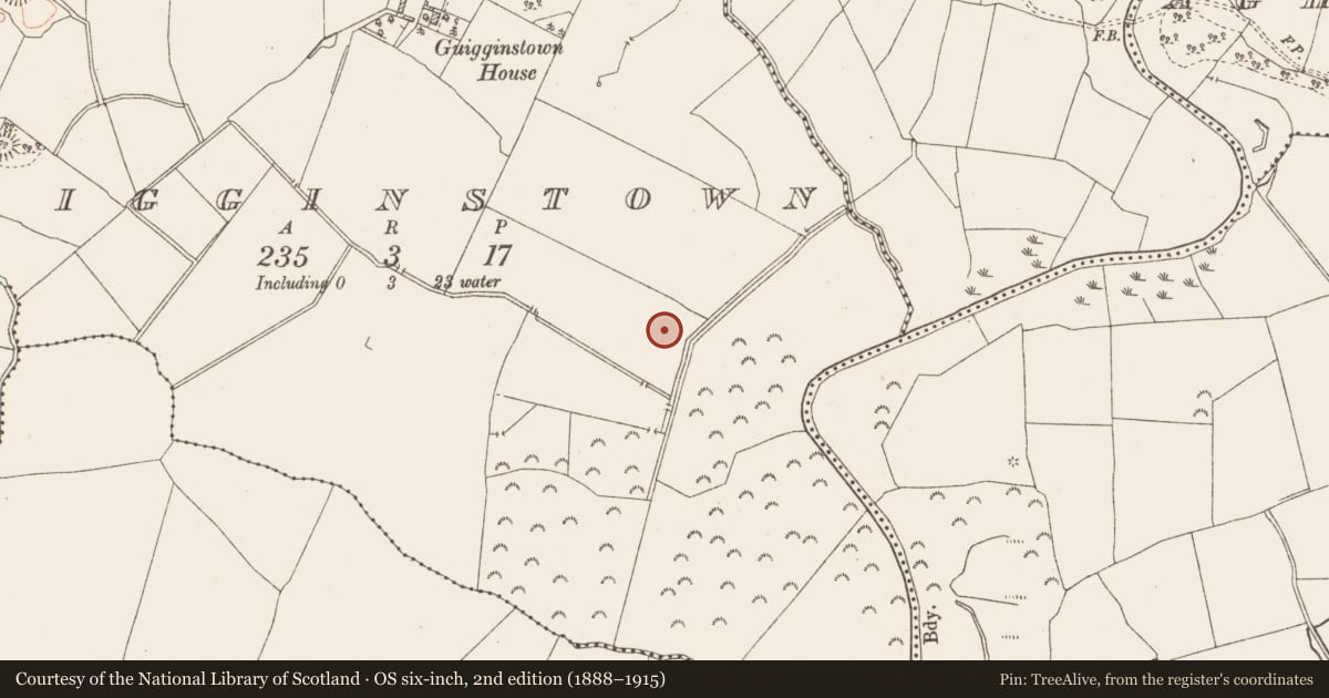 Ordnance Survey six-inch map, 2nd edition (1888–1915) covering the location of Enclosure - large enclosure, Guigginstown, County Westmeath, with a pin at the register's coordinates
