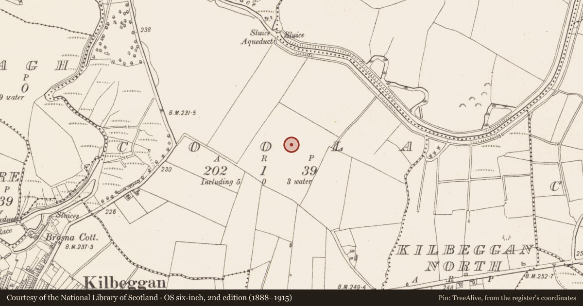 Ordnance Survey six-inch map, 2nd edition (1888–1915) covering the location of Enclosure, Coola, County Westmeath, with a pin at the register's coordinates