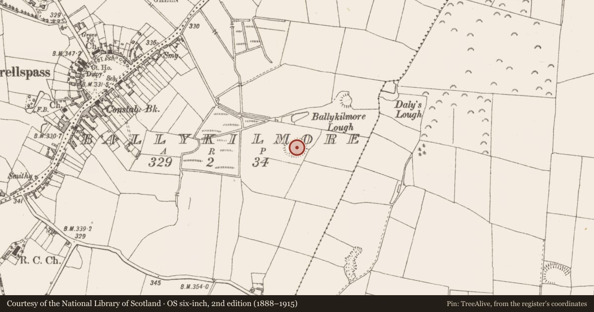 Ordnance Survey six-inch map, 2nd edition (1888–1915) covering the location of Ringfort - rath, Ballykilmore, County Westmeath, with a pin at the register's coordinates