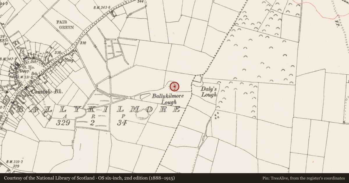 Ordnance Survey six-inch map, 2nd edition (1888–1915) covering the location of Ringfort - rath, Ballykilmore, County Westmeath, with a pin at the register's coordinates