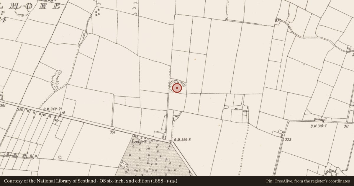 Ordnance Survey six-inch map, 2nd edition (1888–1915) covering the location of Ringfort - rath, Rathgarrett, County Westmeath, with a pin at the register's coordinates