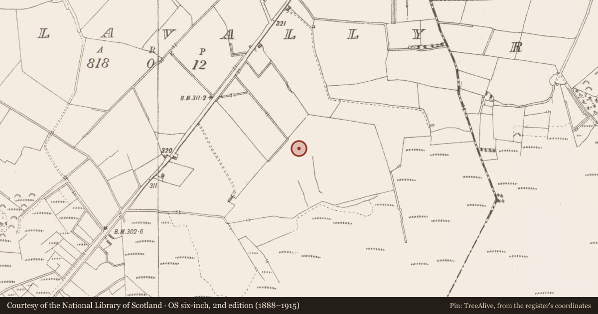 Ordnance Survey six-inch map, 2nd edition (1888–1915) covering the location of Ringfort - rath, Killavally, County Westmeath, with a pin at the register's coordinates