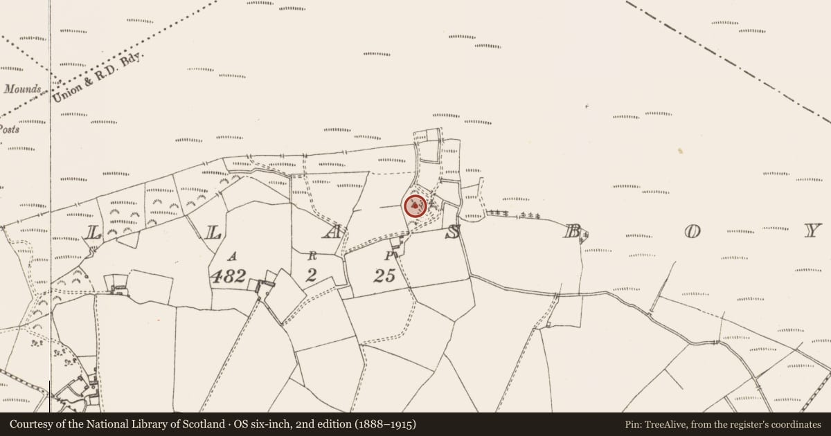 Ordnance Survey six-inch map, 2nd edition (1888–1915) covering the location of Flat cemetery, Pallasboy, County Westmeath, with a pin at the register's coordinates