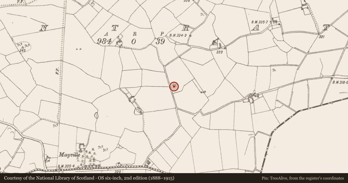 Ordnance Survey six-inch map, 2nd edition (1888–1915) covering the location of Barrow - unclassified, Montrath, County Westmeath, with a pin at the register's coordinates