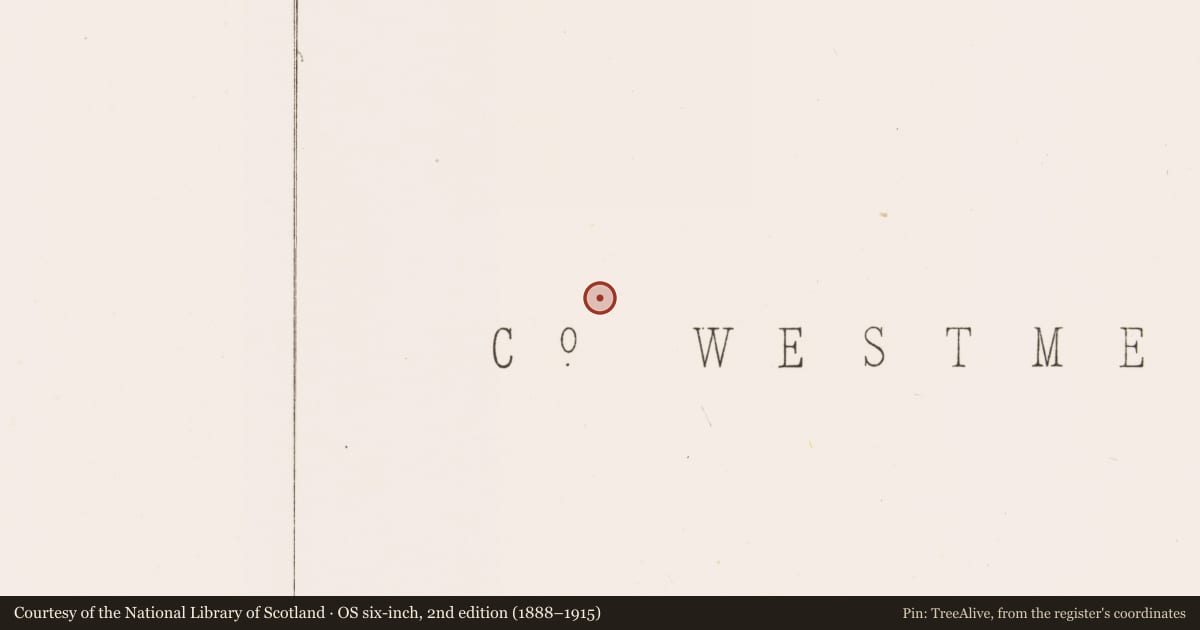 Ordnance Survey six-inch map, 2nd edition (1888–1915) covering the location of Moated site, Montrath, County Westmeath, with a pin at the register's coordinates