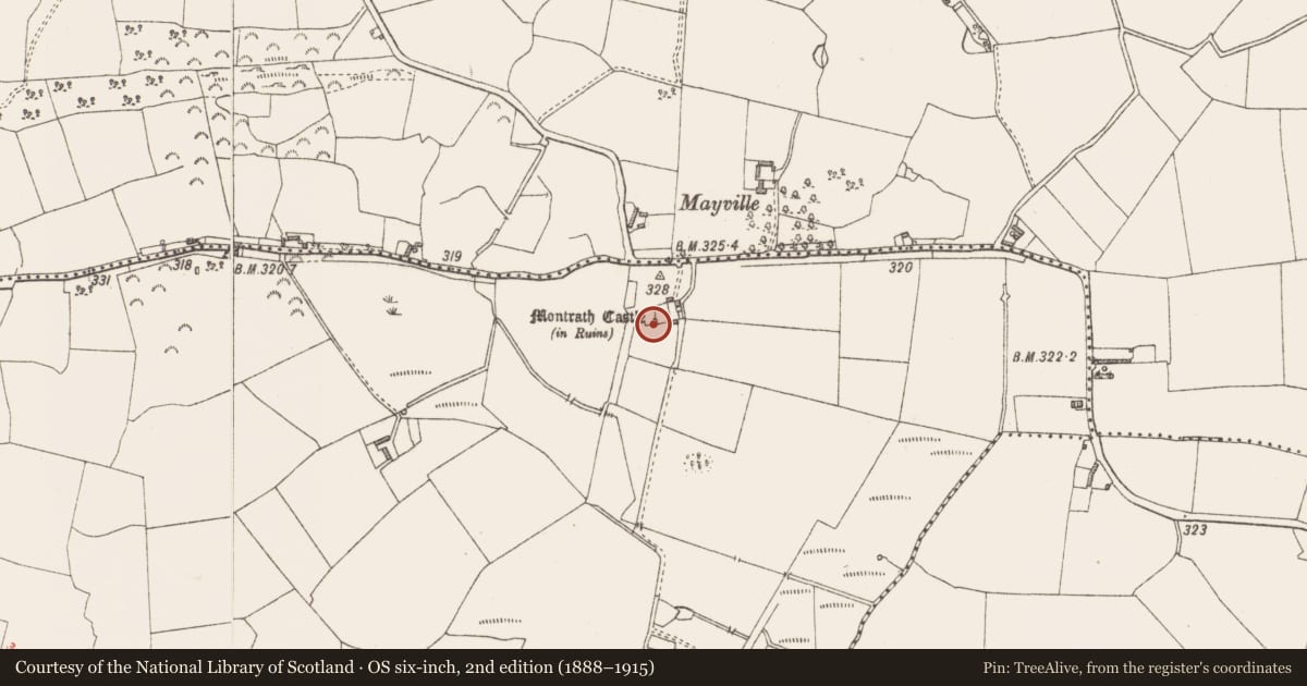 Ordnance Survey six-inch map, 2nd edition (1888–1915) covering the location of Castle - tower house, Monasset, County Westmeath, with a pin at the register's coordinates