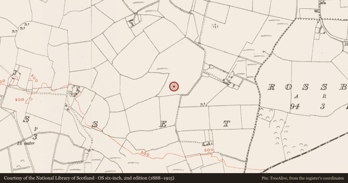 Ordnance Survey six-inch map, 2nd edition (1888–1915) covering the location of Ringfort - unclassified, Monasset, County Westmeath, with a pin at the register's coordinates