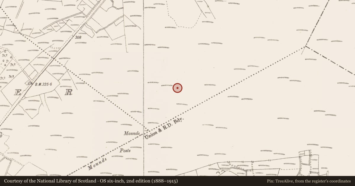 Ordnance Survey six-inch map, 2nd edition (1888–1915) covering the location of Post row - peatland, Killavally, County Westmeath, with a pin at the register's coordinates