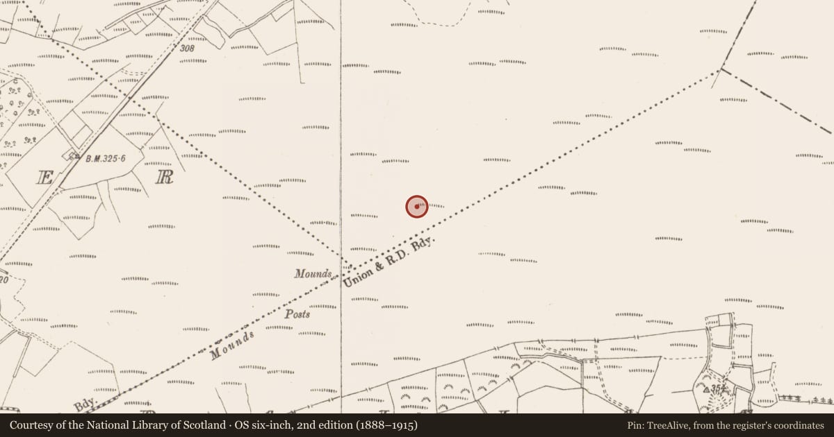 Ordnance Survey six-inch map, 2nd edition (1888–1915) covering the location of Structure - peatland, Killavally, County Westmeath, with a pin at the register's coordinates