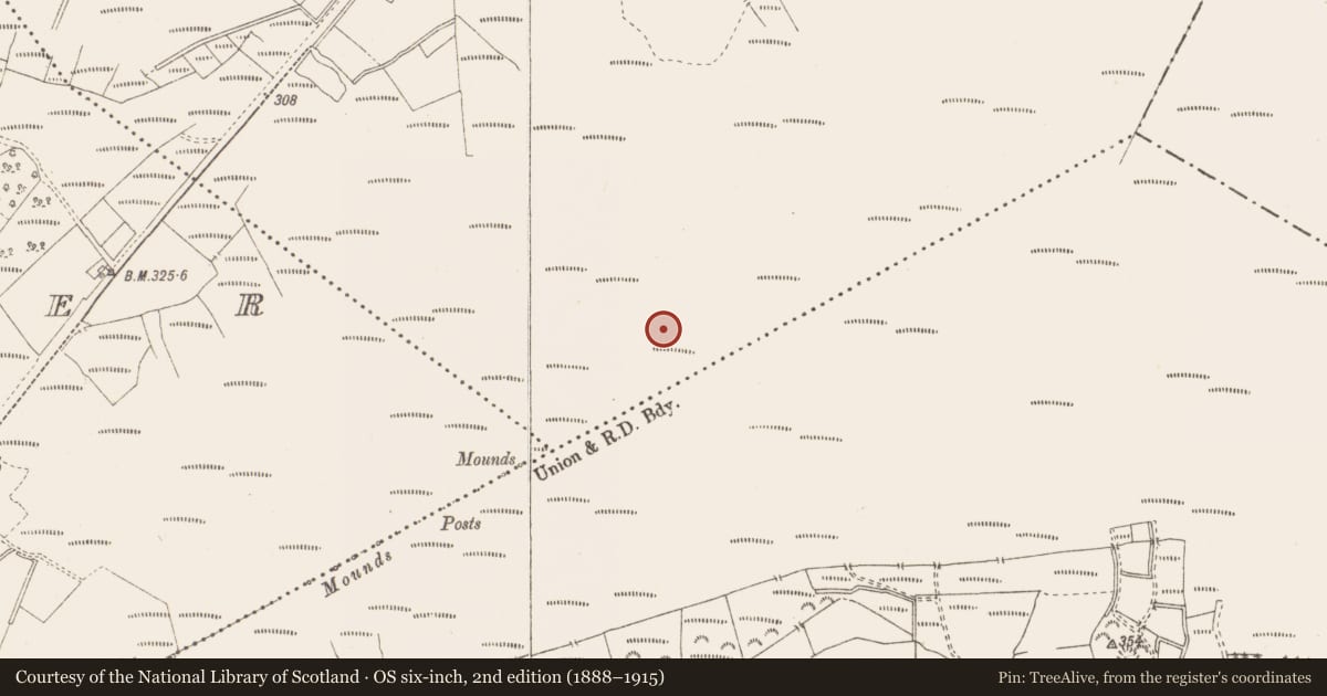 Ordnance Survey six-inch map, 2nd edition (1888–1915) covering the location of Structure - peatland, Killavally, County Westmeath, with a pin at the register's coordinates