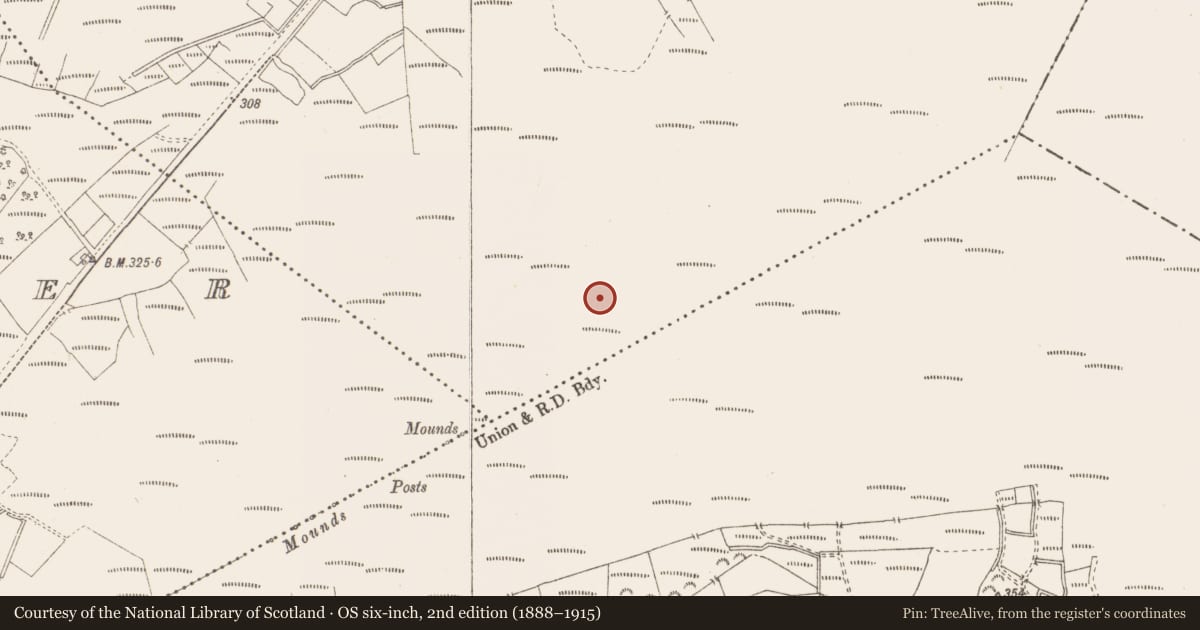 Ordnance Survey six-inch map, 2nd edition (1888–1915) covering the location of Structure - peatland, Killavally, County Westmeath, with a pin at the register's coordinates