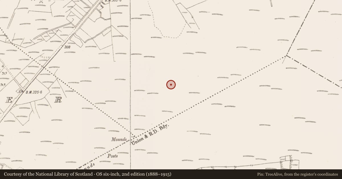 Ordnance Survey six-inch map, 2nd edition (1888–1915) covering the location of Post row - peatland, Killavally, County Westmeath, with a pin at the register's coordinates