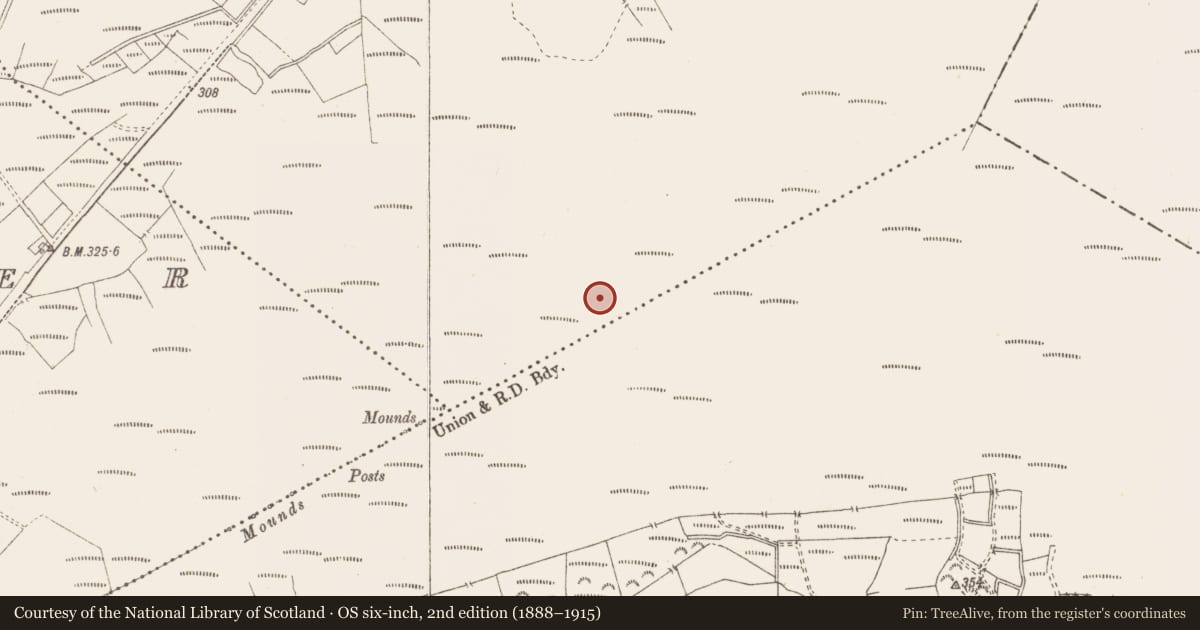 Ordnance Survey six-inch map, 2nd edition (1888–1915) covering the location of Structure - peatland, Killavally, County Westmeath, with a pin at the register's coordinates
