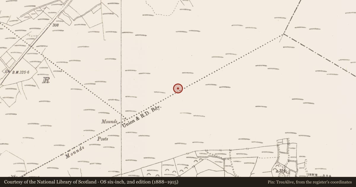 Ordnance Survey six-inch map, 2nd edition (1888–1915) covering the location of Structure - peatland, Killavally, County Westmeath, with a pin at the register's coordinates