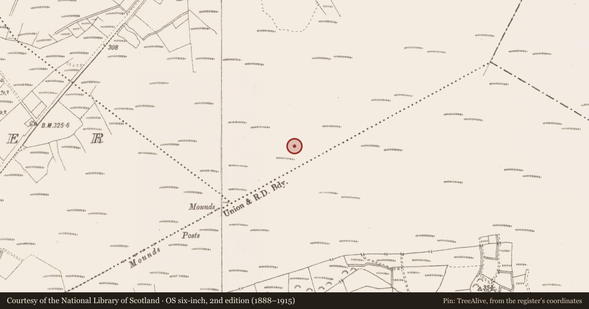 Ordnance Survey six-inch map, 2nd edition (1888–1915) covering the location of Structure - peatland, Killavally, County Westmeath, with a pin at the register's coordinates
