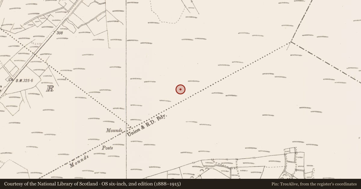 Ordnance Survey six-inch map, 2nd edition (1888–1915) covering the location of Structure - peatland, Killavally, County Westmeath, with a pin at the register's coordinates