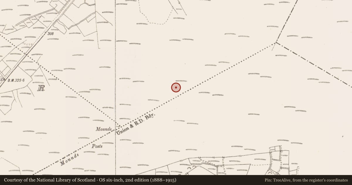 Ordnance Survey six-inch map, 2nd edition (1888–1915) covering the location of Structure - peatland, Killavally, County Westmeath, with a pin at the register's coordinates