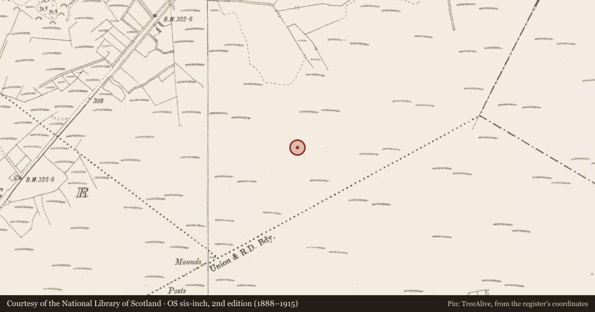 Ordnance Survey six-inch map, 2nd edition (1888–1915) covering the location of Structure - peatland, Killavally, County Westmeath, with a pin at the register's coordinates