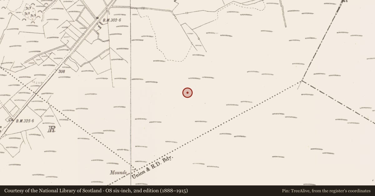 Ordnance Survey six-inch map, 2nd edition (1888–1915) covering the location of Structure - peatland, Killavally, County Westmeath, with a pin at the register's coordinates