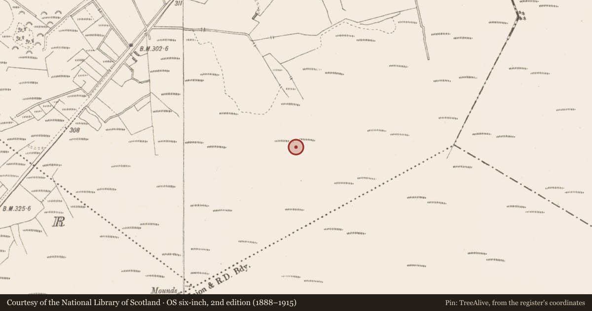 Ordnance Survey six-inch map, 2nd edition (1888–1915) covering the location of Road - class 2 togher, Killavally, County Westmeath, with a pin at the register's coordinates