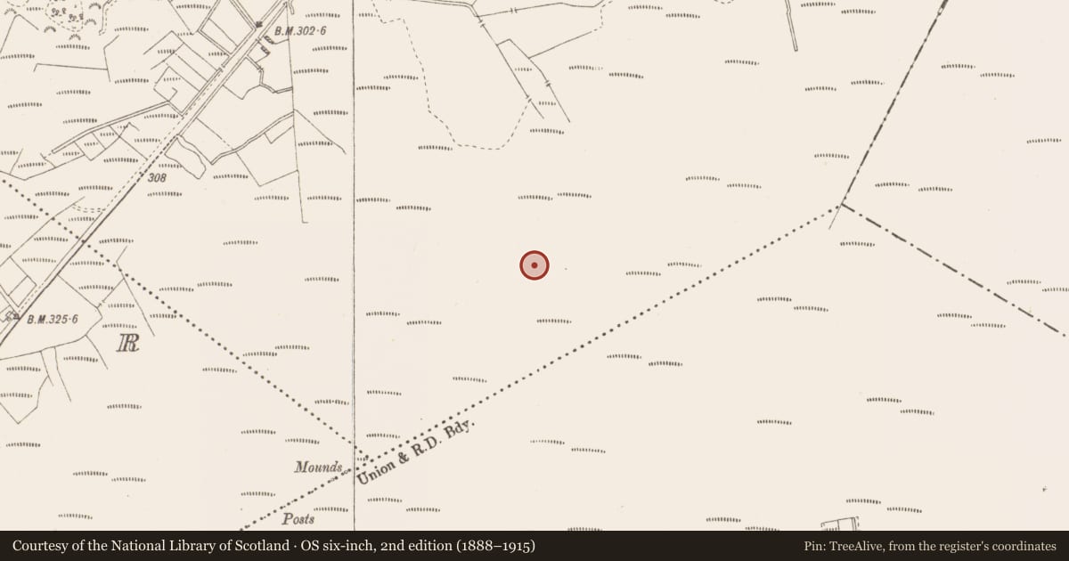 Ordnance Survey six-inch map, 2nd edition (1888–1915) covering the location of Structure - peatland, Killavally, County Westmeath, with a pin at the register's coordinates