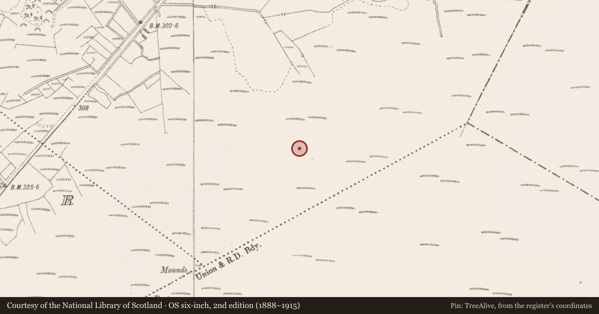 Ordnance Survey six-inch map, 2nd edition (1888–1915) covering the location of Structure - peatland, Killavally, County Westmeath, with a pin at the register's coordinates