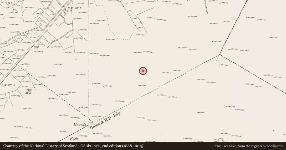Ordnance Survey six-inch map, 2nd edition (1888–1915) covering the location of Structure - peatland, Killavally, County Westmeath, with a pin at the register's coordinates