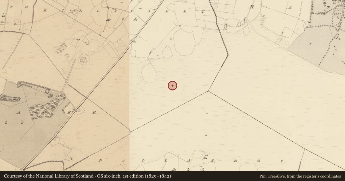Ordnance Survey six-inch map, 1st edition (1829–1842) covering the location of Road - class 3 togher, Killavally, County Westmeath, with a pin at the register's coordinates