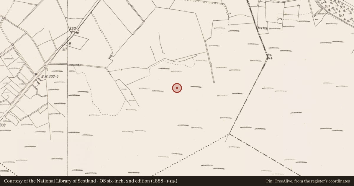 Ordnance Survey six-inch map, 2nd edition (1888–1915) covering the location of Structure - peatland, Killavally, County Westmeath, with a pin at the register's coordinates