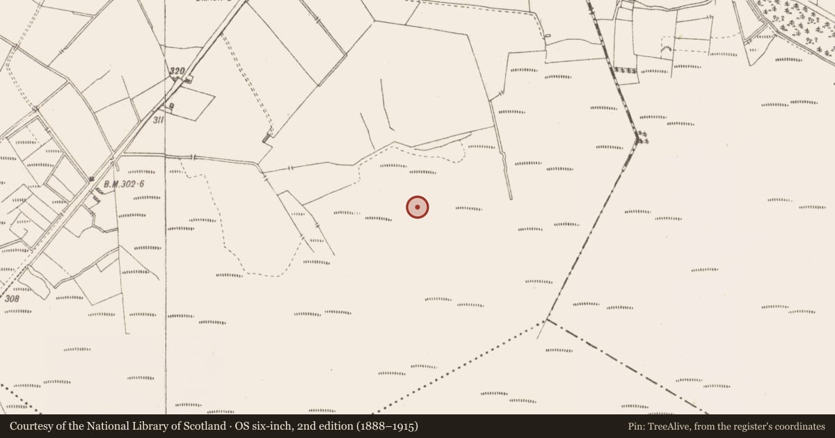 Ordnance Survey six-inch map, 2nd edition (1888–1915) covering the location of Structure - peatland, Killavally, County Westmeath, with a pin at the register's coordinates