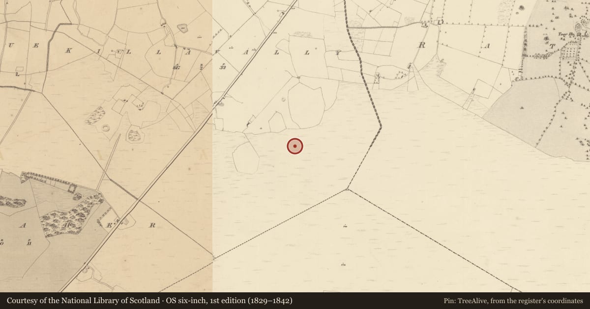 Ordnance Survey six-inch map, 1st edition (1829–1842) covering the location of Structure - peatland, Killavally, County Westmeath, with a pin at the register's coordinates