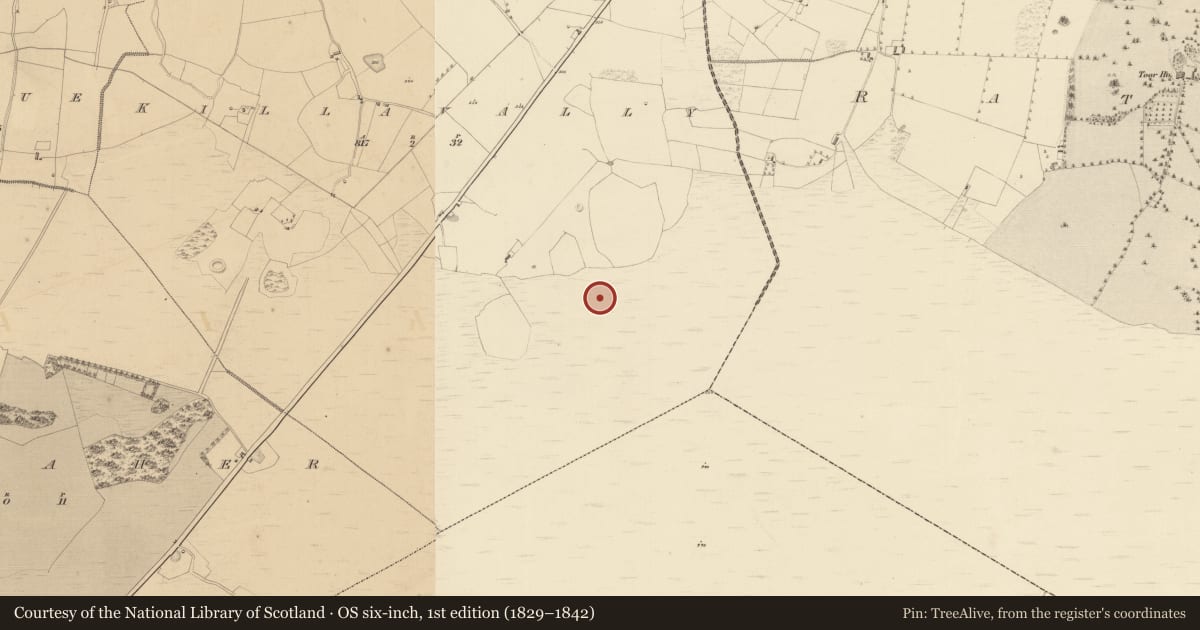 Ordnance Survey six-inch map, 1st edition (1829–1842) covering the location of Structure - peatland, Killavally, County Westmeath, with a pin at the register's coordinates