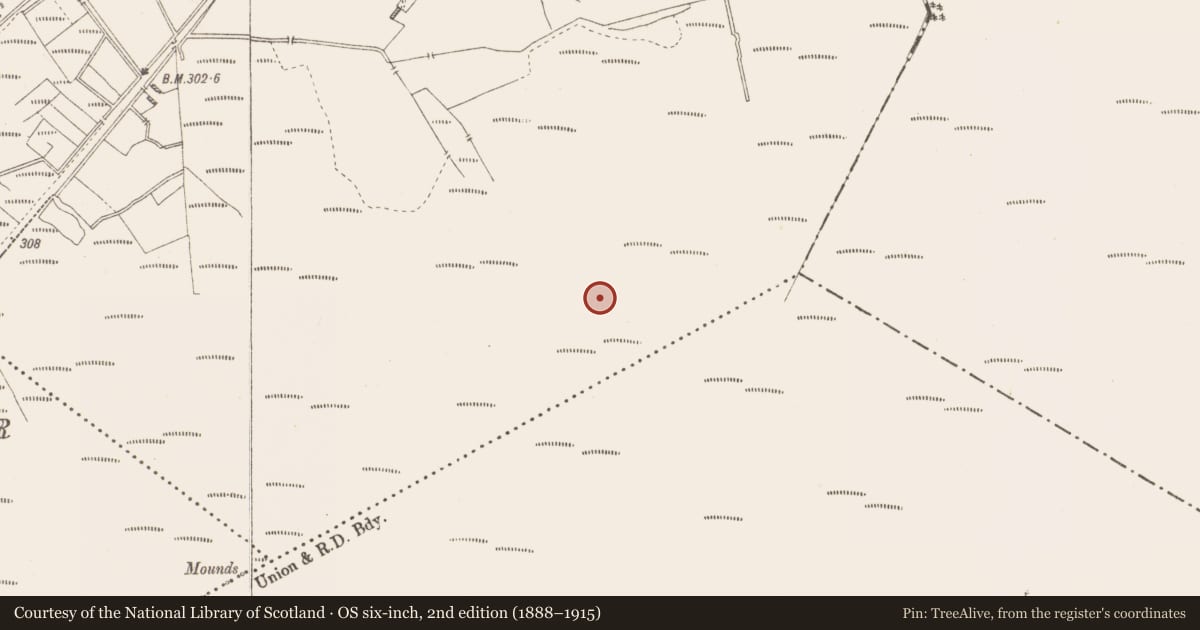 Ordnance Survey six-inch map, 2nd edition (1888–1915) covering the location of Structure - peatland, Killavally, County Westmeath, with a pin at the register's coordinates