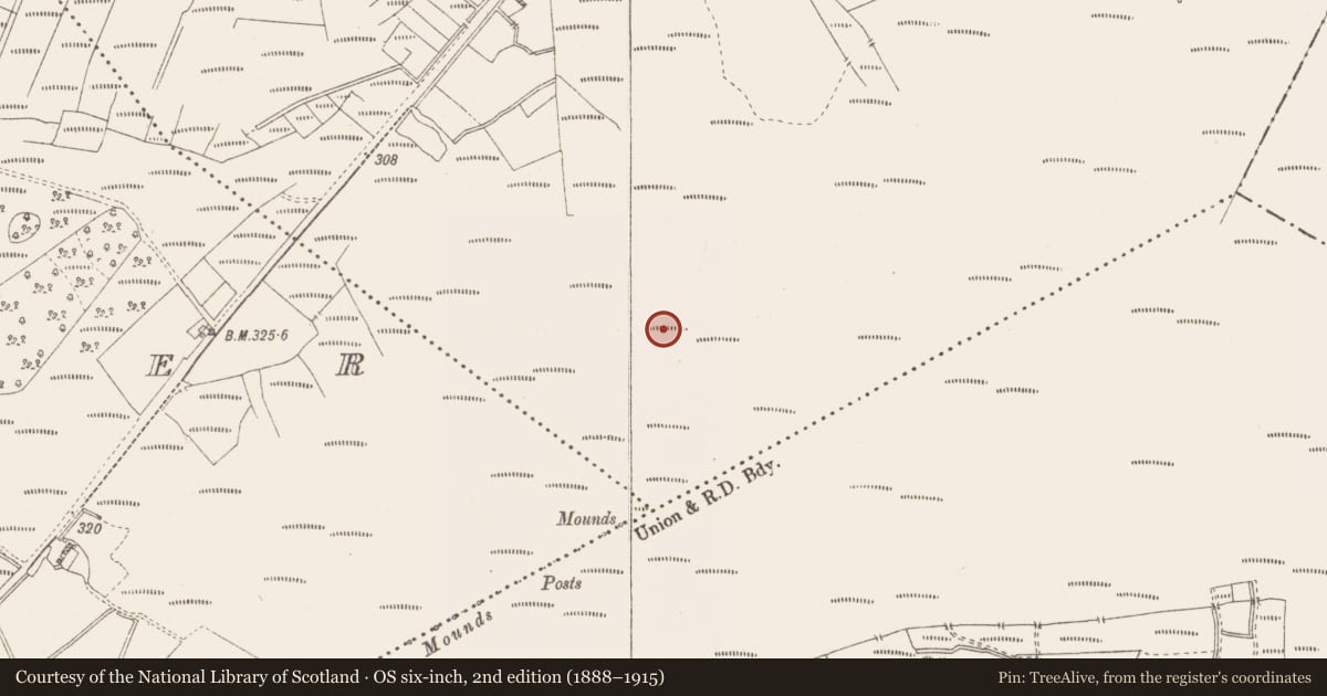 Ordnance Survey six-inch map, 2nd edition (1888–1915) covering the location of Structure - peatland, Killavally, County Westmeath, with a pin at the register's coordinates
