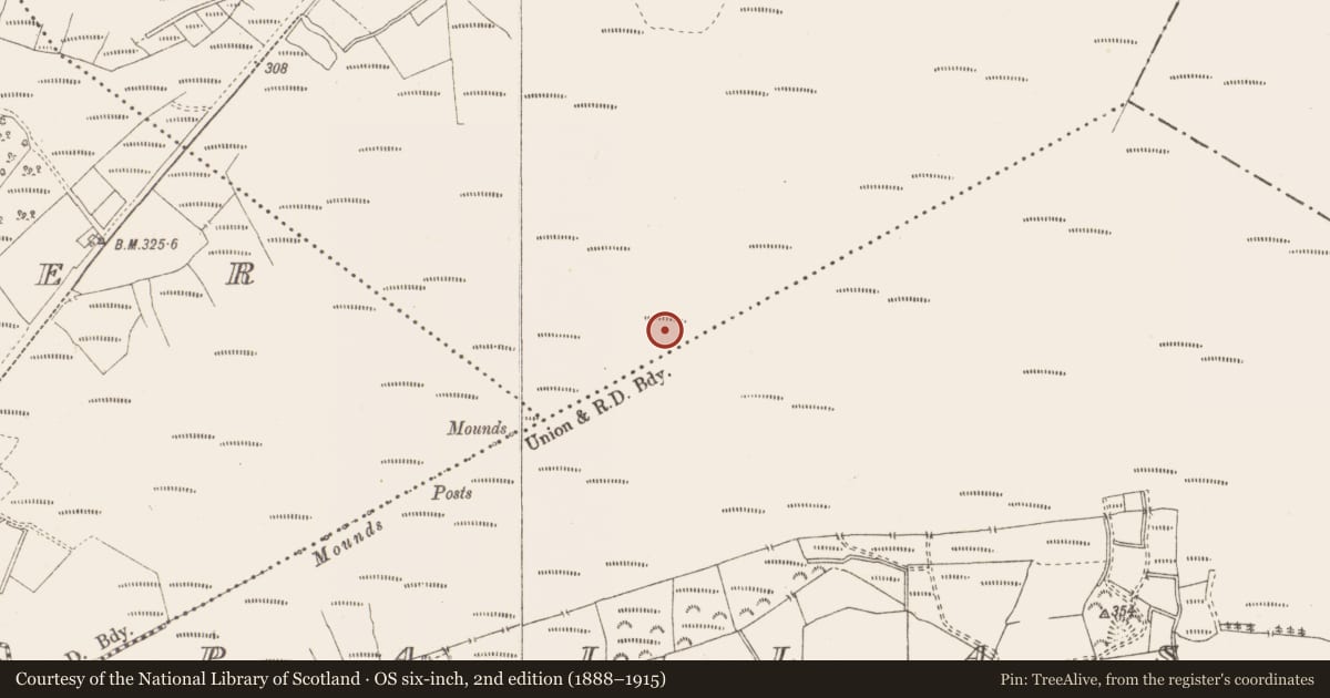 Ordnance Survey six-inch map, 2nd edition (1888–1915) covering the location of Structure - peatland, Killavally, County Westmeath, with a pin at the register's coordinates