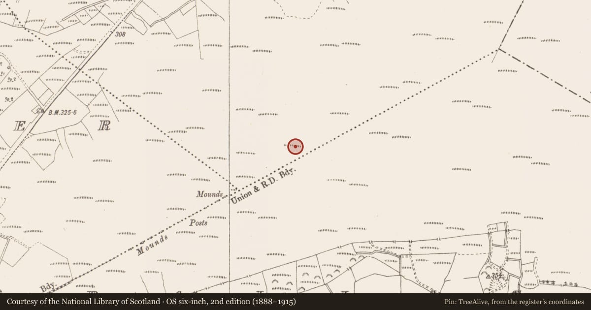 Ordnance Survey six-inch map, 2nd edition (1888–1915) covering the location of Structure - peatland, Killavally, County Westmeath, with a pin at the register's coordinates