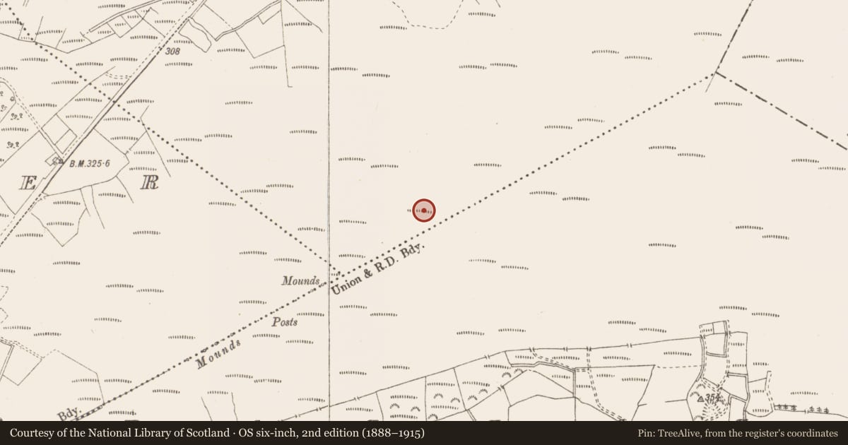 Ordnance Survey six-inch map, 2nd edition (1888–1915) covering the location of Structure - peatland, Killavally, County Westmeath, with a pin at the register's coordinates