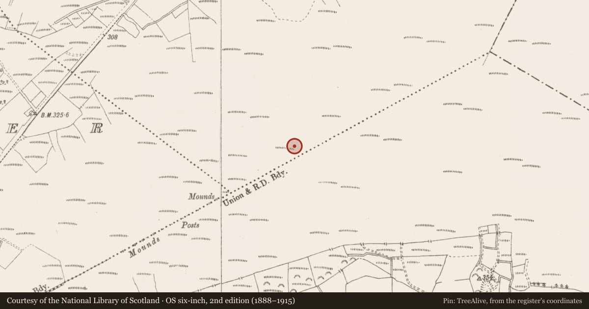 Ordnance Survey six-inch map, 2nd edition (1888–1915) covering the location of Structure - peatland, Killavally, County Westmeath, with a pin at the register's coordinates