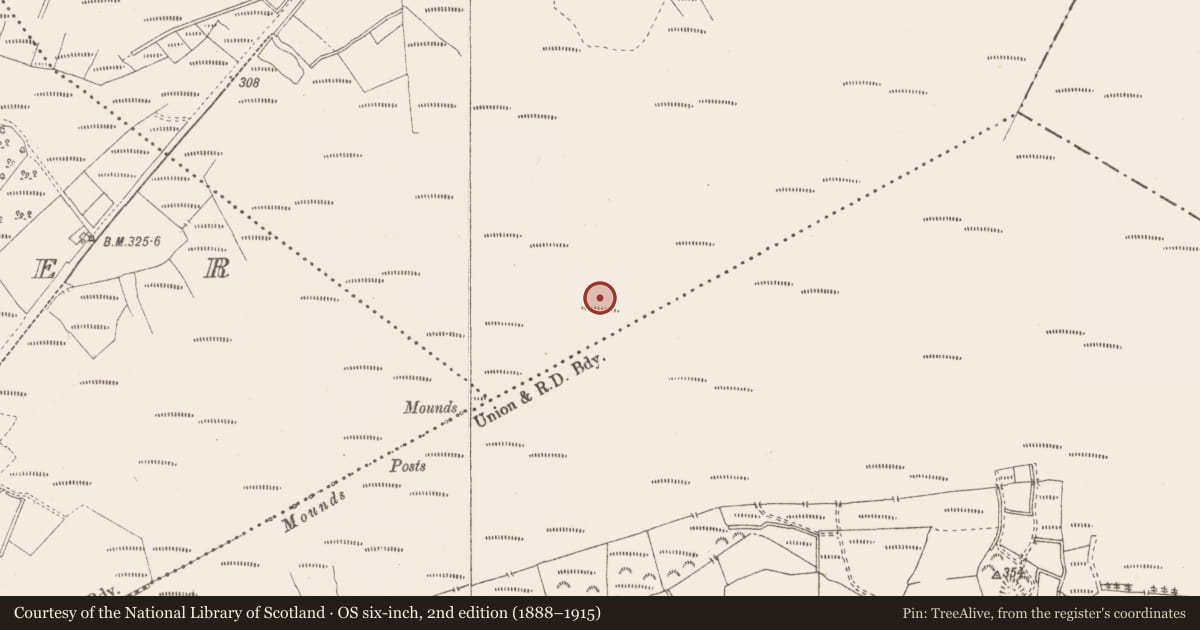 Ordnance Survey six-inch map, 2nd edition (1888–1915) covering the location of Road - class 3 togher, Killavally, County Westmeath, with a pin at the register's coordinates