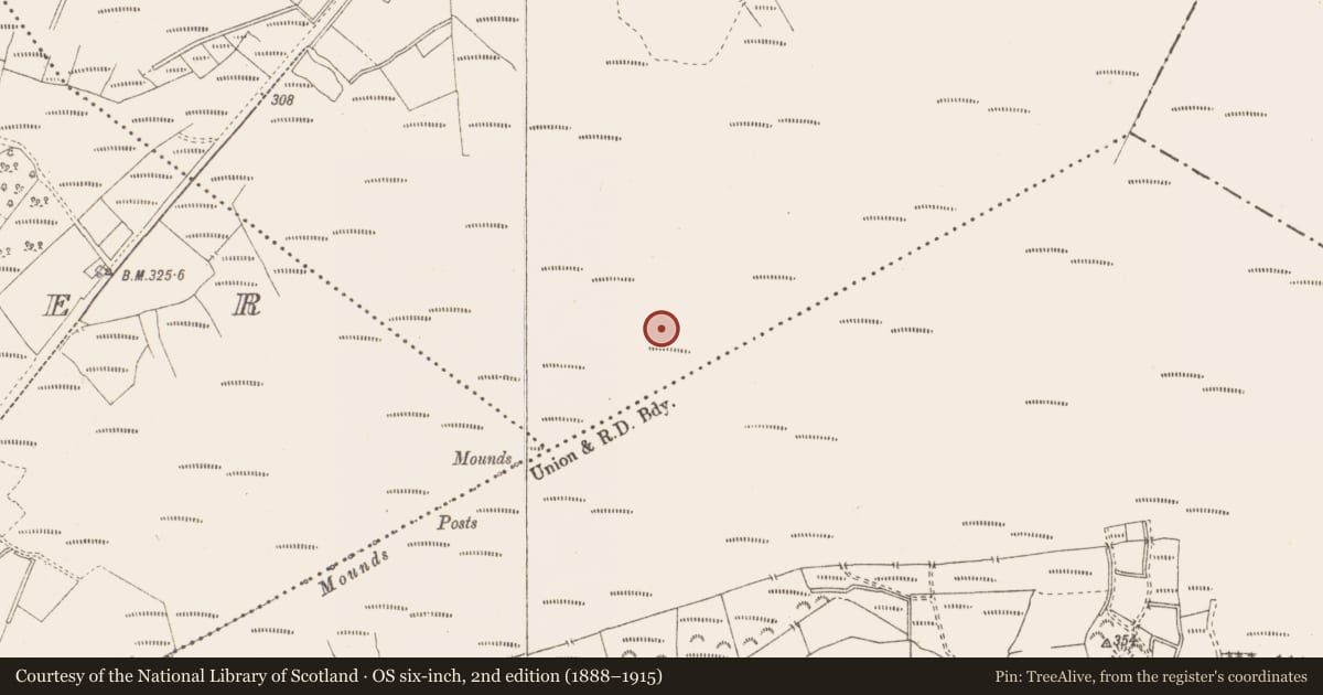 Ordnance Survey six-inch map, 2nd edition (1888–1915) covering the location of Road - class 3 togher, Killavally, County Westmeath, with a pin at the register's coordinates