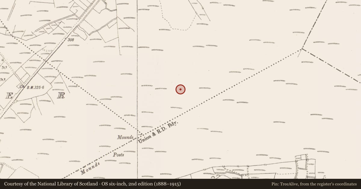 Ordnance Survey six-inch map, 2nd edition (1888–1915) covering the location of Structure - peatland, Killavally, County Westmeath, with a pin at the register's coordinates