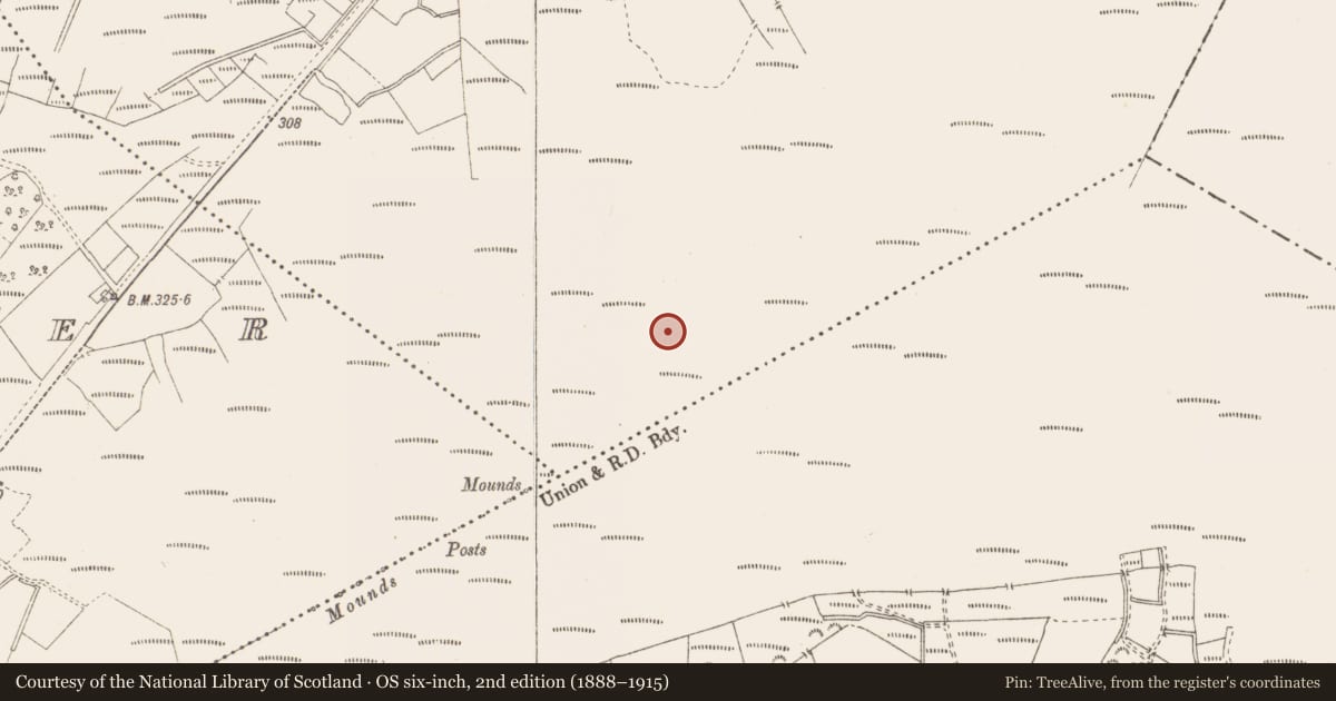 Ordnance Survey six-inch map, 2nd edition (1888–1915) covering the location of Road - class 3 togher, Killavally, County Westmeath, with a pin at the register's coordinates