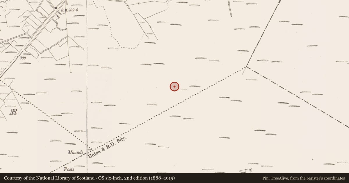 Ordnance Survey six-inch map, 2nd edition (1888–1915) covering the location of Structure - peatland, Killavally, County Westmeath, with a pin at the register's coordinates