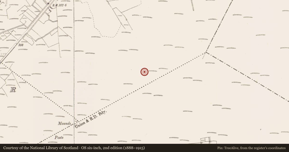 Ordnance Survey six-inch map, 2nd edition (1888–1915) covering the location of Structure - peatland, Killavally, County Westmeath, with a pin at the register's coordinates