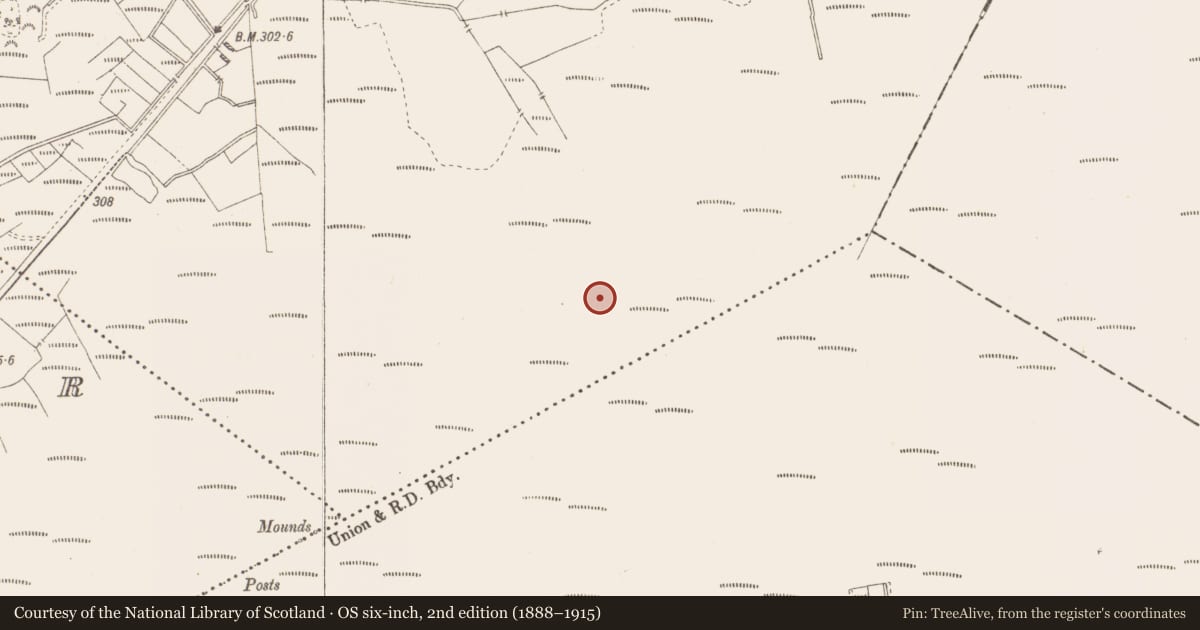 Ordnance Survey six-inch map, 2nd edition (1888–1915) covering the location of Structure - peatland, Killavally, County Westmeath, with a pin at the register's coordinates