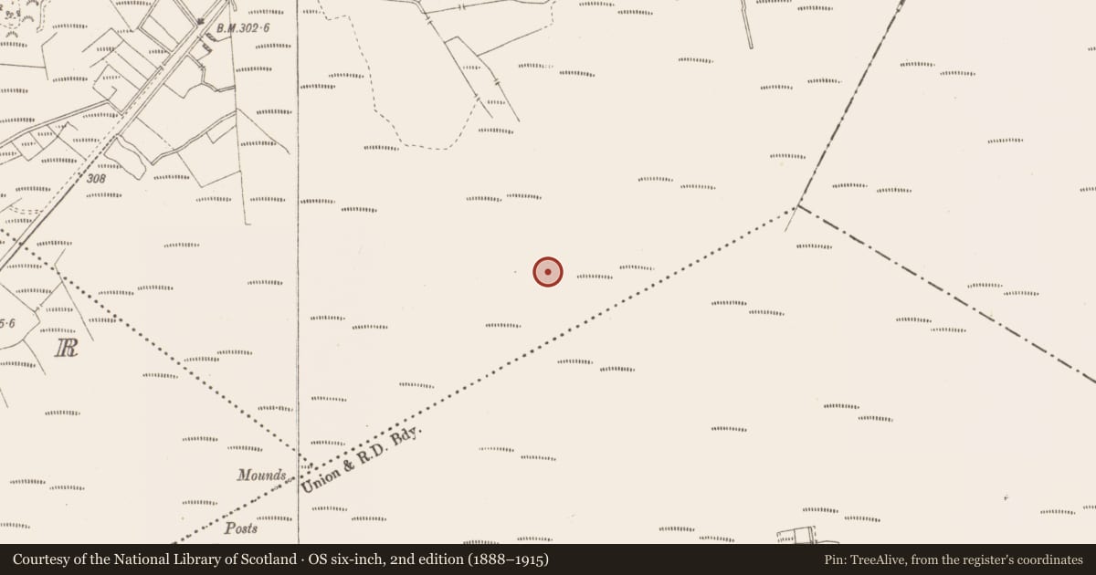 Ordnance Survey six-inch map, 2nd edition (1888–1915) covering the location of Structure - peatland, Killavally, County Westmeath, with a pin at the register's coordinates