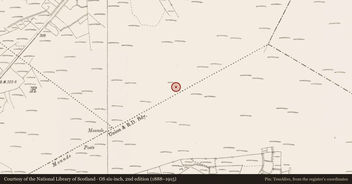 Ordnance Survey six-inch map, 2nd edition (1888–1915) covering the location of Structure - peatland, Killavally, County Westmeath, with a pin at the register's coordinates