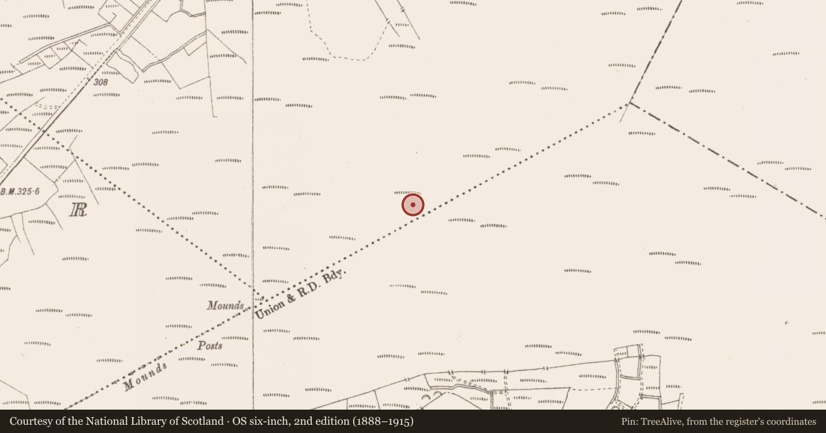 Ordnance Survey six-inch map, 2nd edition (1888–1915) covering the location of Structure - peatland, Killavally, County Westmeath, with a pin at the register's coordinates