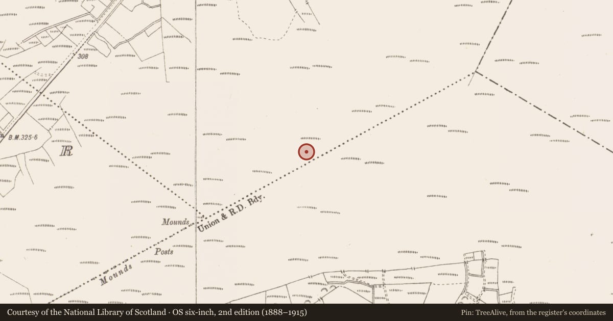 Ordnance Survey six-inch map, 2nd edition (1888–1915) covering the location of Structure - peatland, Killavally, County Westmeath, with a pin at the register's coordinates